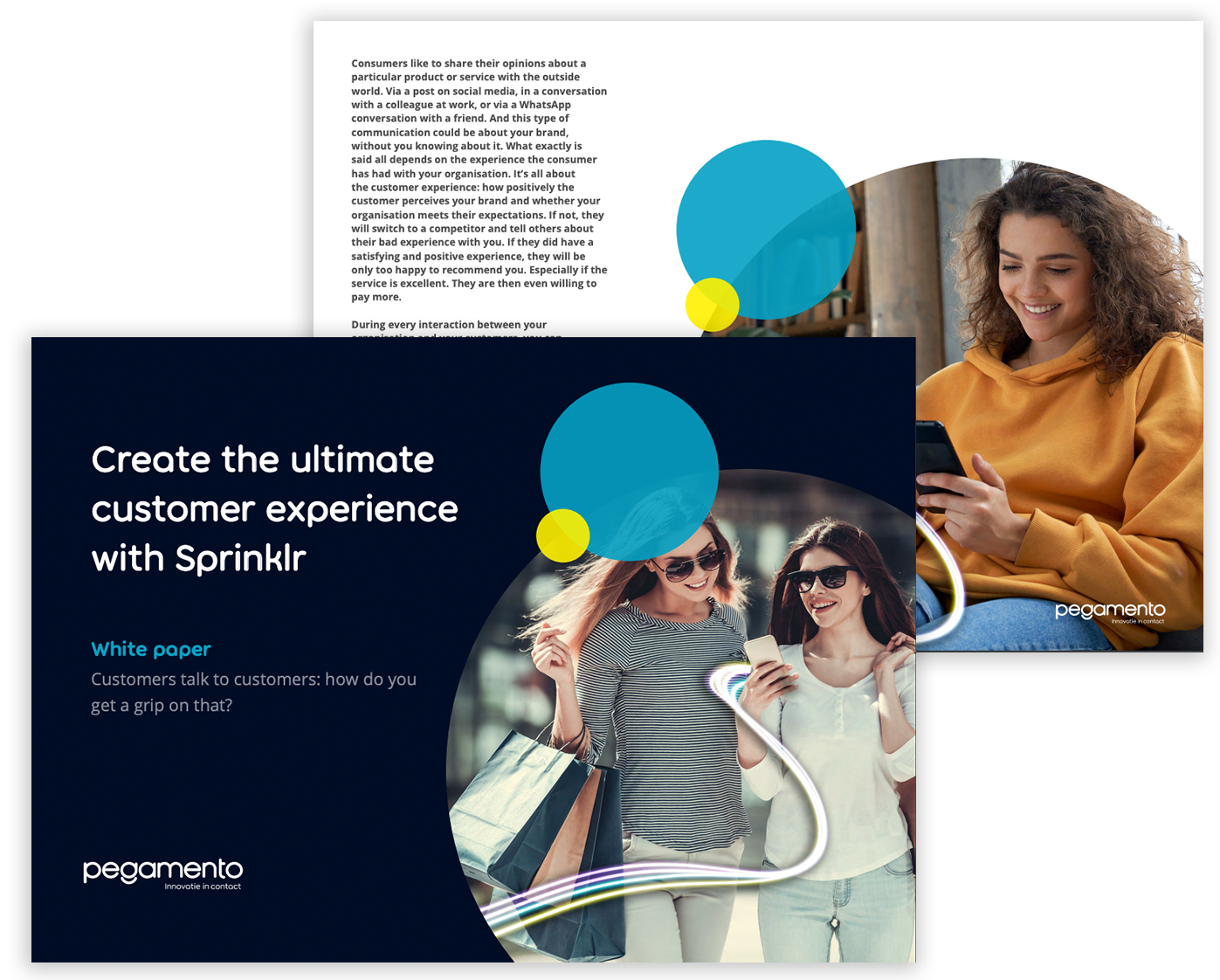 white paper: create the ultimate customer experience with Sprinklr